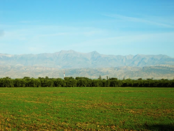 Exploitation Agricole à vendre à Taroudant