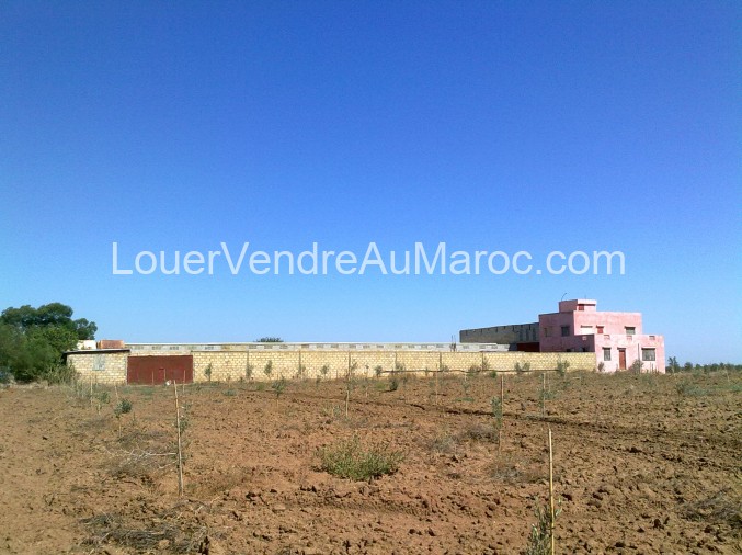 Exploitation Agricole à vendre à Rabat-Salé