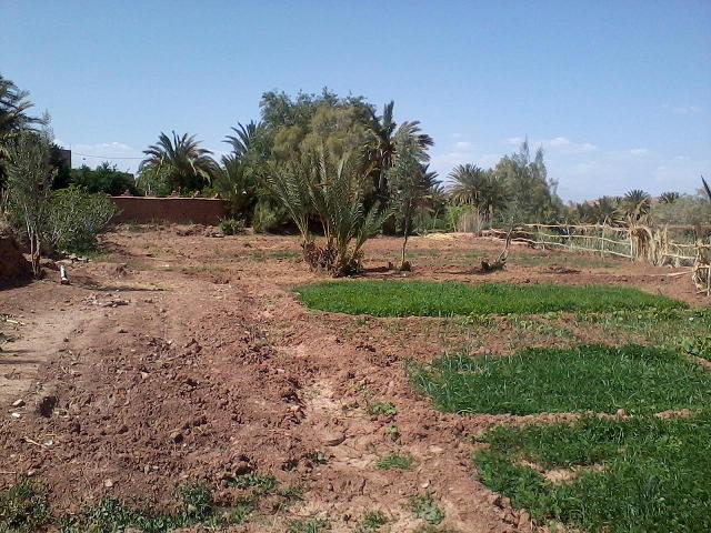 Terrain à vendre à Ouarzazate
